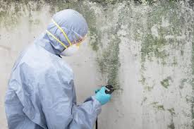 Reliable Spencer, WV Mold Inspection Solutions